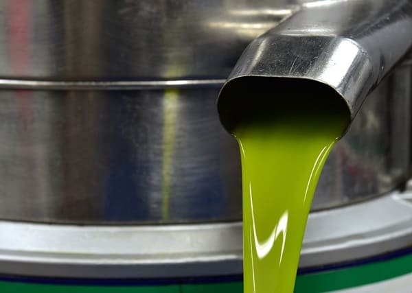 analisis-de-aceites-y-aceitunas.jpg AGQ Labs Egypt|Analysis of Oils and Olives